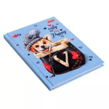 Бизнес-блокнот А6, 64 листа, в клетку/линейку, "Корги", твёрдая обложка, глянцевая ламинация