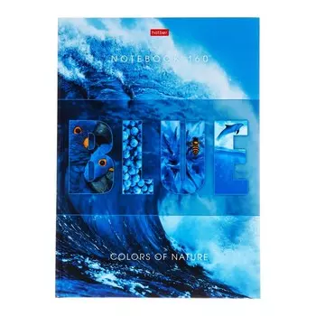 Бизнес-блокнот твердая обложка А4, 160 листов "Гармония цвета", глянцевая ламинация, 5-цветный блок, блок 65 г/м2