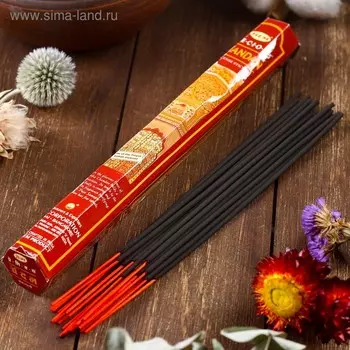 Благовония "HEM Precious Chandan" (Драгоценный Чандан), шестигранник, 20 палочек