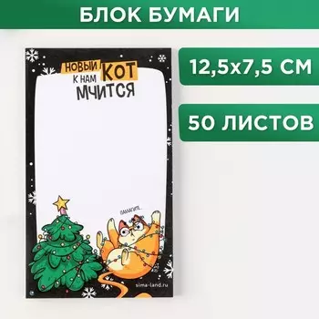 Блок для записи с отрывными листами «Новый кот к нам мчится», 125х75 50л