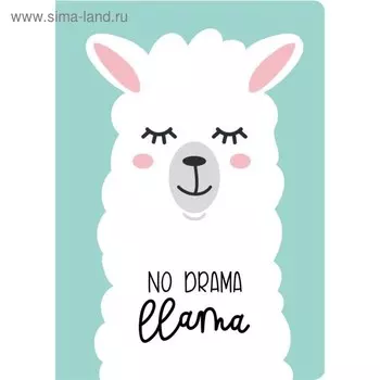 Блокнот А4, 40 листов на склейке «Лама. No drama», мягкая обложка, круглые углы, блок в точку