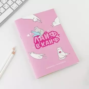 Блокнот А5, 38 л, с наклейками «Коты»