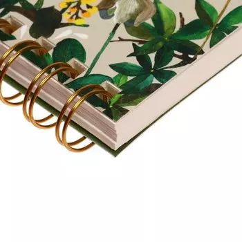 Блокнот А6-, 100 листов на гребне "Баобаб", твёрдая обложка, матовая ламинация Soft Touch, тиснение золотой фольгой