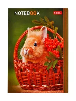 Блокнот А6 24 листа в клетку, на скобе «В мире животных», МИКС