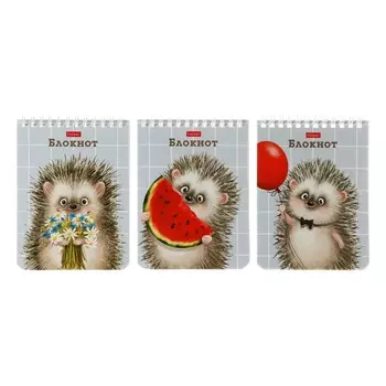 Блокнот А6, 40 листов на гребне "Хорошо быть ёжиком",обложка мелованный картон,УФ-лак, блок 65 г/м,МИКС