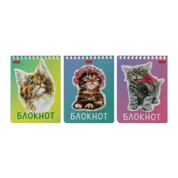 Блокнот А6, 40 листов на гребне "Котики бывают разными",обложка мелованный картон,УФ-лак, блок 65 г/м,МИКС