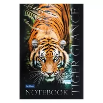 Блокнот А6, 40 листов на клею "Взгляд тигра", обложка мелованная бумага, глянцевая ламинация, блок клетка 80 г/м2