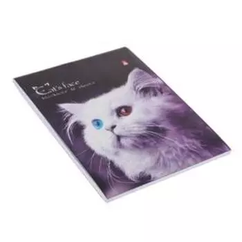 Блокнот А6, 40 листов на скрепке "Котята", МИКС