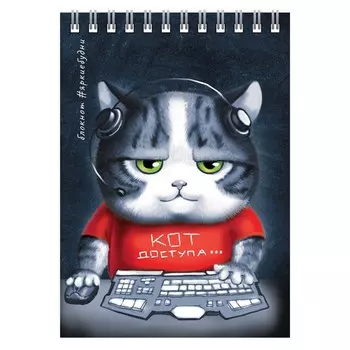 Блокнот А6, 80 листов на гребне «Аниме кот», обложка мелованный картон, УФ-лак, перфорация, блок офсет 65г/м2