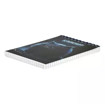 Блокнот А6, 80 листов в клетку на гребне "Кот", обложка мелованный картон, блок 60 г/м