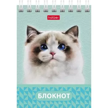Блокнот А7, 40 листов на гребне "Глазки, ушки, носик", обложка мелованный картон, блок офсет 65г/м2