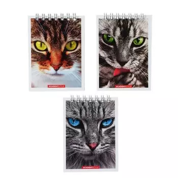 Блокнот А7 40 листов в клетку на гребне "Кошки", обложка картон, ВД-лак, МИКС