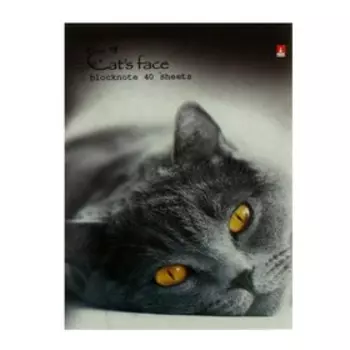 Блокнот А7, 40 листов в клетку на скрепке "Кошки", МИКС