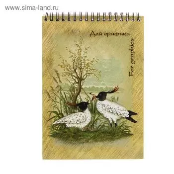 Блокнот для графики А5, 20 листов на гребне, обложка мелованный картон, блок офсет 180 г/м