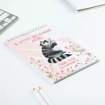 Блокнот «Енот», на гребне, А5 40 листов