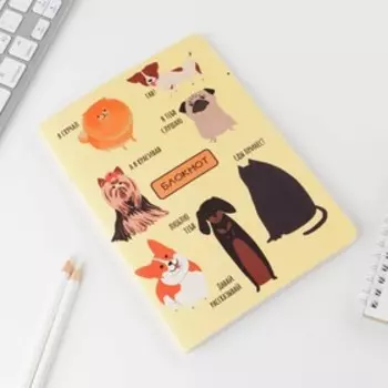 Блокнот софт-тач «Звери», А5, 48 листов