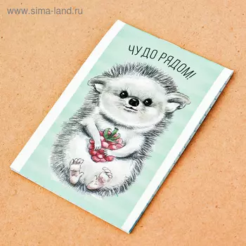 Блокнот в клетку "Чудо рядом", на скрепке, А7, 16 листов