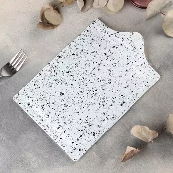 Блюдо для подачи Magistro «Мрамор», 26,5×17,5×2 см, цвет белый