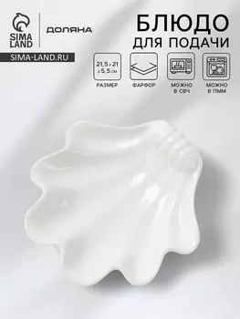 Блюдо для подачи ракушка Доляна White Label, 21.5215.5 см, фарфор, белое
