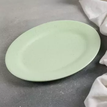 Блюдо фарфоровое Доляна «Амелия», 24,518 см см, цвет зелёный