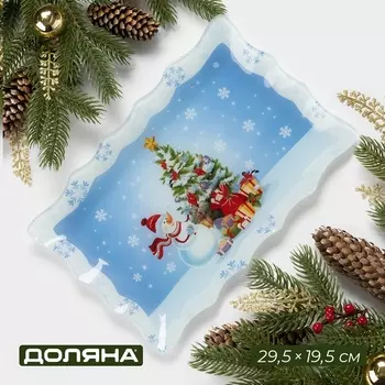 Блюдо новогоднее прямоугольное Доляна «Зимняя сказка», 29.519.5 см, стекло