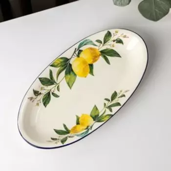 Блюдо овальное Доляна «Лимон», 2814,5 см, цвет белый