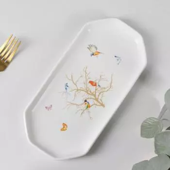 Блюдо овальное «Колибри», 24×11,5×2 см, цвет белый