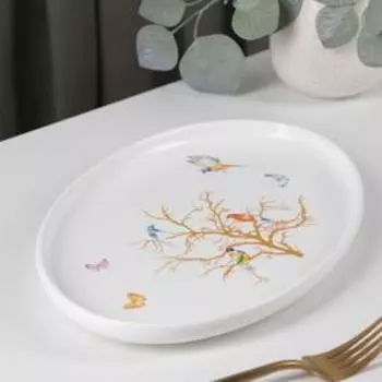 Блюдо овальное «Колибри», 29×19×2 см, цвет белый