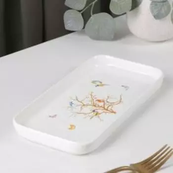 Блюдо прямоугольное «Колибри», 24×12 см