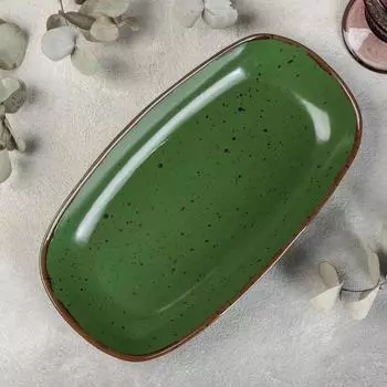 Блюдо Punto verde, 29,5×17 см