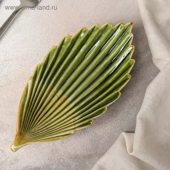 Блюдо керамическое сервировочное «Дендрарий», 21104 см, зелёное