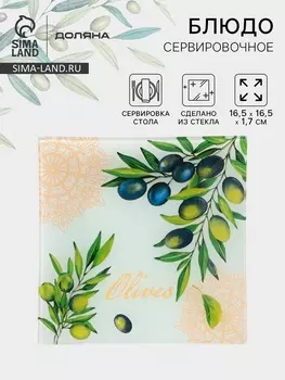 Блюдо сервировочное Доляна «Олива», 16161.5 см, стекло