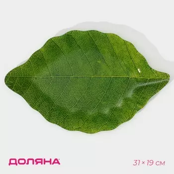 Блюдо сервировочное Доляна «Лист», 3119 см, стекло, цвет зелёный