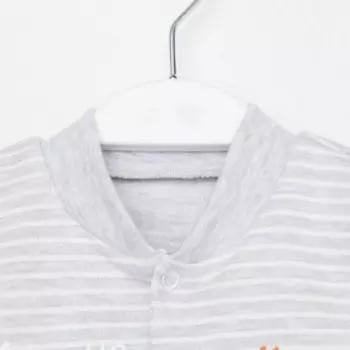 Боди детское, цвет серый/лисы, рост 80 см