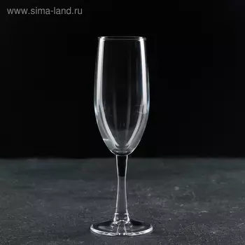 Бокал для шампанского Paabahe Classique, 250 мл, стекло, прозрачный