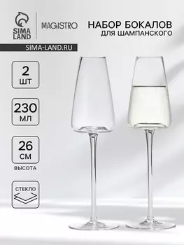 Бокалы для шампанского Magistro «Амьен», 250 мл, h=26 см, набор 2 шт., стекло, прозрачные