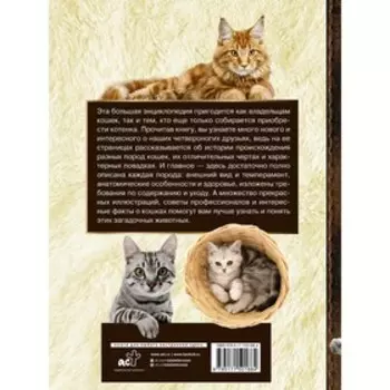Большая энциклопедия. Кошки. Смирнов Д.С.