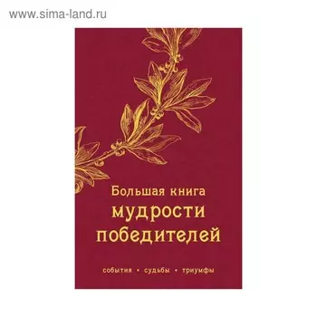 Большая книга мудрости победителей