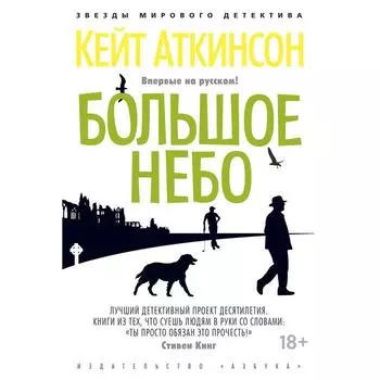 Большое небо. Аткинсон К.