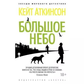 Большое небо. Аткинсон К.