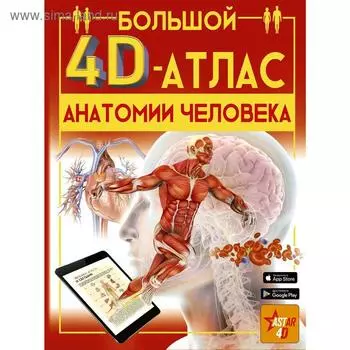 «Большой 4D-атлас анатомии человека», Спектор А.А.