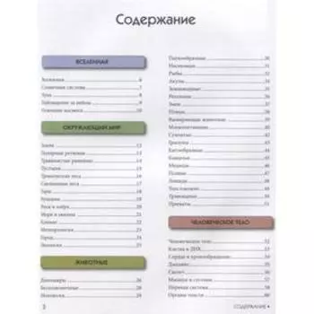 Большой подарок будущему отличнику. Детская энциклопедия. Ратто С.