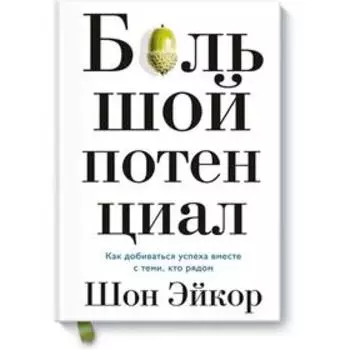 Большой потенциал. Как добиваться успеха вместе с теми, кто рядом. Шон Эйкор