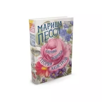 Некоторые вопросы теории катастроф. Пессл М.