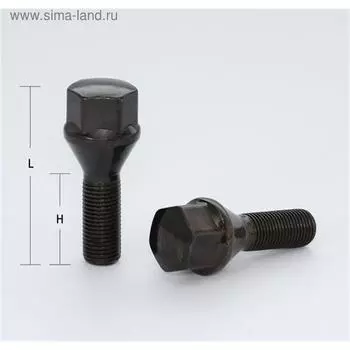 Болт M14x1,25, 76/50, hex17, конус, чёрный