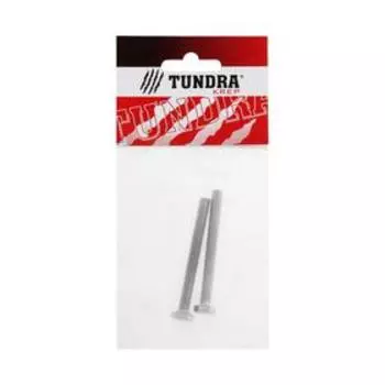 Болт "ТУНДРА krep", с шестигранной головкой, оцинкованный, DIN933, М6х60 мм, 2 шт