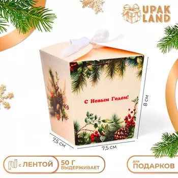 Бонбоньерка, новогодняя подарочная упаковка «Зимние шишки», 7.587.5 см