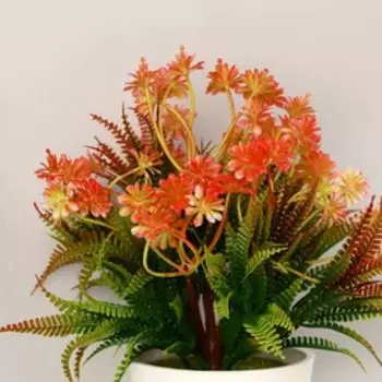 Бонсай "Агапантус" 9,5х23 см, микс