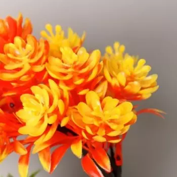 Бонсай "Белое облако" 10х20 см, микс