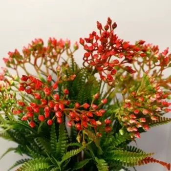 Бонсай "Бессмертник" 9,5х22 см, микс